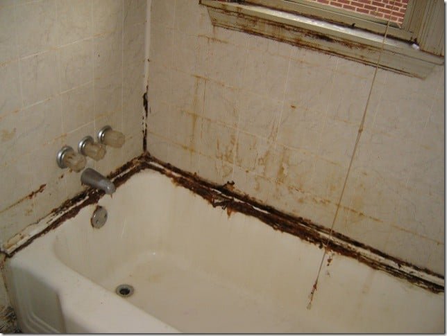 Mold Damage